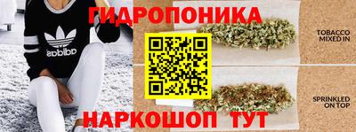 стафф Новозыбков