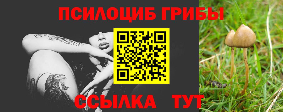 Псилоцибиновые грибы MAGIC MUSHROOMS Сунжа